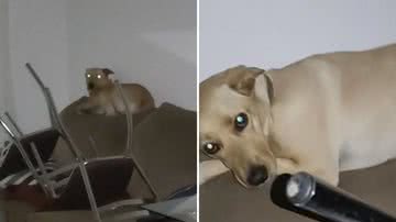 Reprodução / Instagram