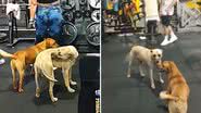 Reprodução / Instagram