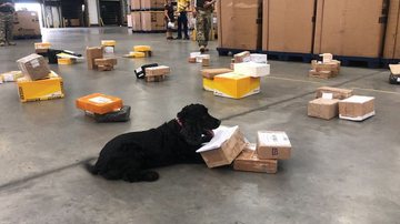 Divulgação/Polícia Civil