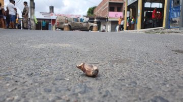 Marcos Valentim/BNews