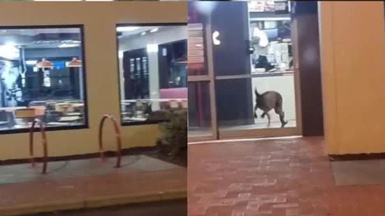 Reprodução / TikTok / @torriebolton