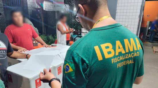 Divulgação / Assessoria de Comunicação do Ibama