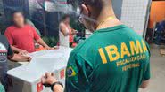 Divulgação / Assessoria de Comunicação do Ibama