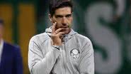 Cesar Greco/Palmeiras