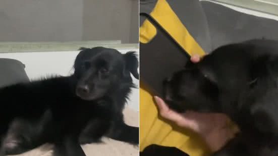 Reprodução / Redes Sociais