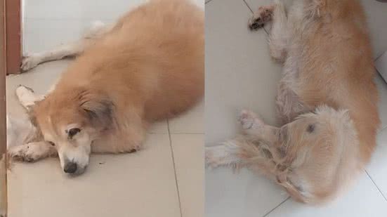 Reprodução/Arquivo Pessoal