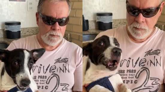 Reprodução/TikTok @perninhathedog