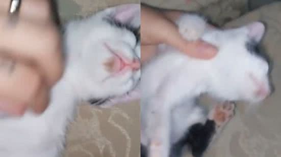 Reprodução//TikTok @bruu2.5