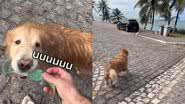 Reprodução/ TikTok @mussarela_golden