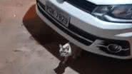 Reprodução/TikTok @r3natox3
