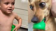 Reprodução// TikTok @rodesantos