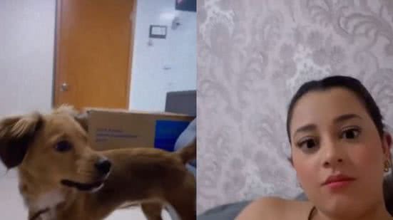 Reprodução/TikTok @lilica_044