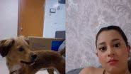 Reprodução/TikTok @lilica_044