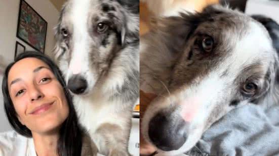 Reprodução// TikTok @2dogsemeio
