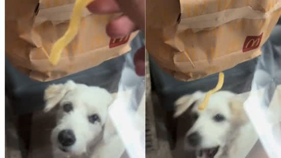 Reprodução// TikTok @gioliveira7_