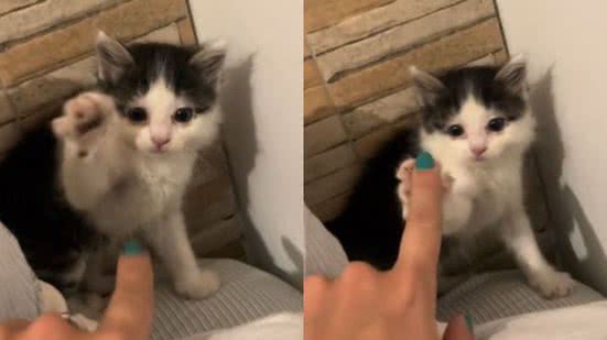 Reprodução// TikTok @oinat_