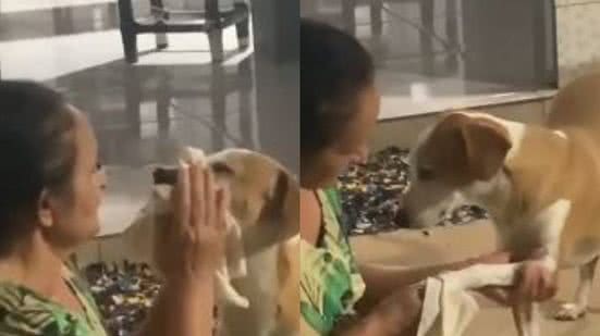 Reprodução/TikTok @euvanvan