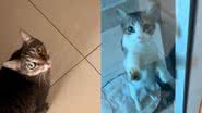 Reprodução/TikTok @thaisnperezz