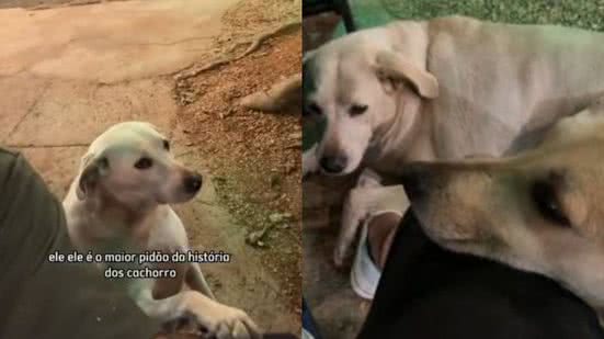 Reprodução/TikTok @joaoakel