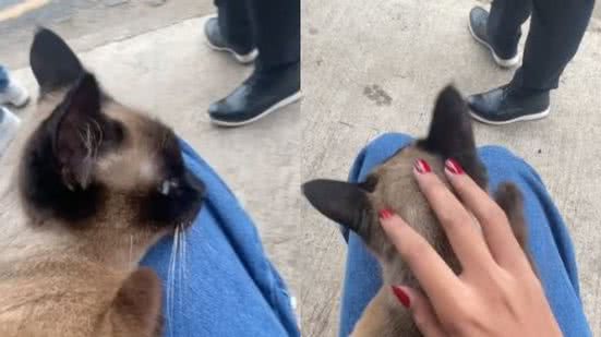 Reprodução//TikTok @larisdias_