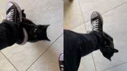 Reprodução/TikTok @_heygabe_