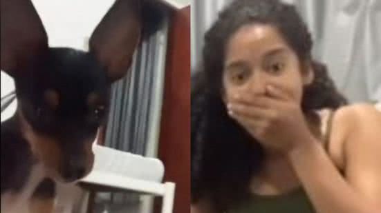 Reprodução/TikTok @polyanamoraes__