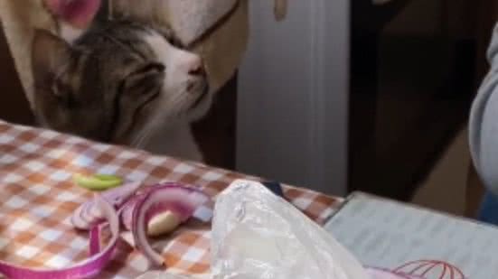 Reprodução// TikTok @brezburnett