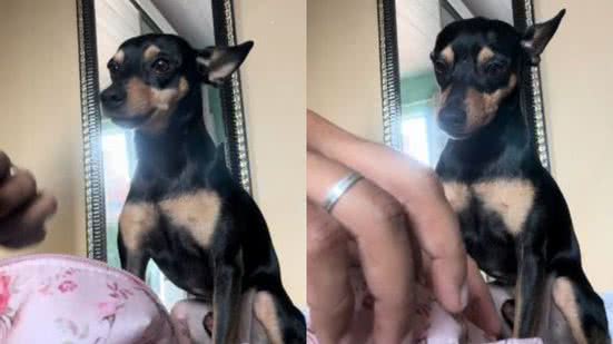 Reprodução/TikTok @crislanebernardo1