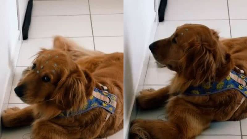 Reprodução/TikTok @juliana_emarsha