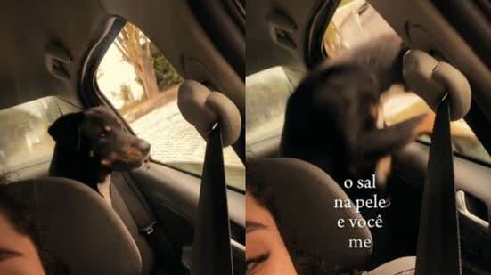 Reprodução/TikTok @dressatah