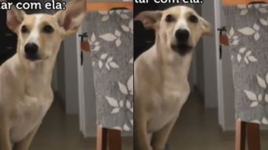 Reprodução/TikTok @carolnegherbon1