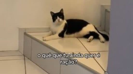 Reprodução// TikTok @camisfrazaop