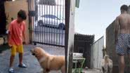 Reprodução/TikTok @____neto_____