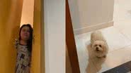 Reprodução//TikTok @vetcarlamagalhaes