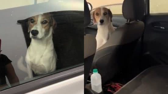 Reprodução//TikTok @whatsupraquel