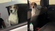 Reprodução//TikTok @whatsupraquel