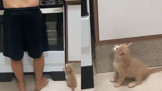 Reprodução/ TikTok @caarolinepereiraa