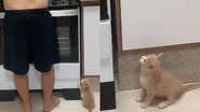 Reprodução/ TikTok @caarolinepereiraa