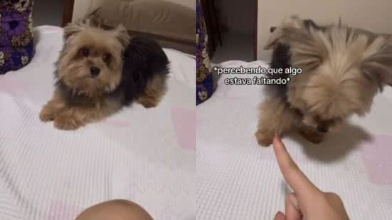 Reprodução/TikTok @bixcoit0_