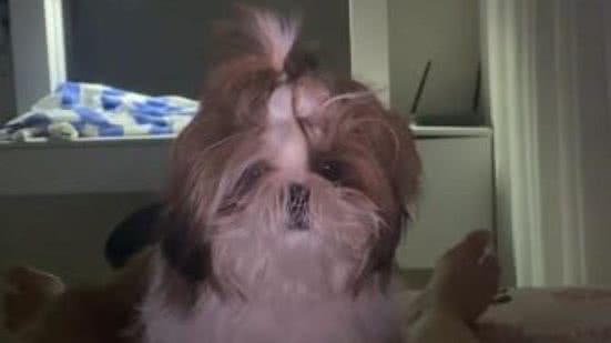 Reprodução/TikTok @mariaraquel_castro