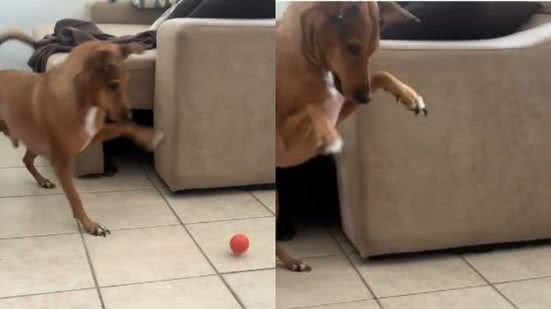 Reprodução/TikTok @laryssavitoriap