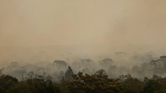 Os dados são do Programa Queimadas, do Instituto Nacional de Pesquisas Espaciais (Inpe) - Marcelo Camargo/Agência Brasil