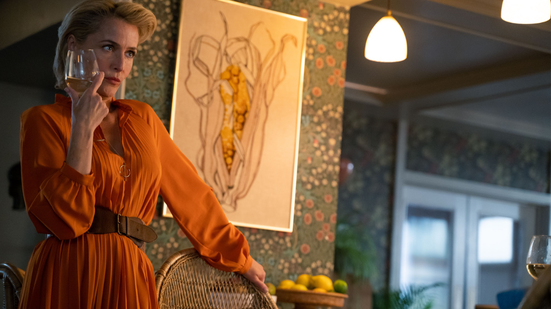 Livro lançado por atriz da Netflix reúne fantasias sexuais de mulheres - Reprodução/Netflix