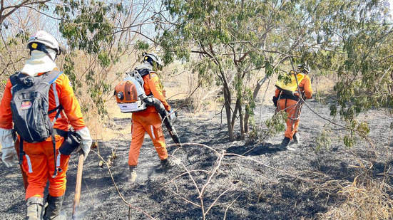 Doze municípios baianos registraram incêndios florestais neste final de semana - Corpo de Bombeiros/Divulgação
