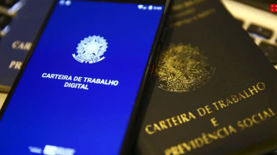 A informação fez parte da Pesquisa Nacional por Amostra de Domicílios (PNAD), divulgada nesta sexta-feira pelo IBGE - Marcelo Camargo/Agência Brasil