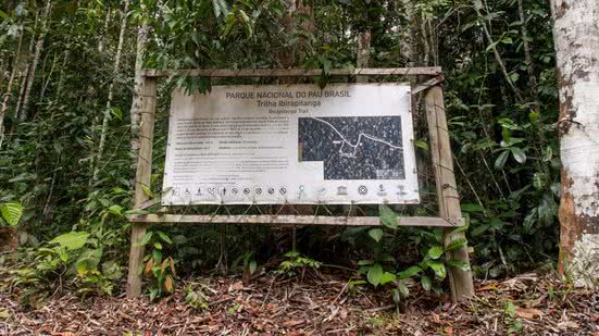 Divulgação / Governo Federal