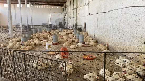 Divulgação | Sefaz-PB