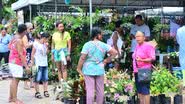 Festival da Primavera em Salvador