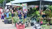 Festival da Primavera em Salvador