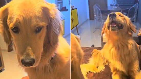 Reprodução / Redes Sociais